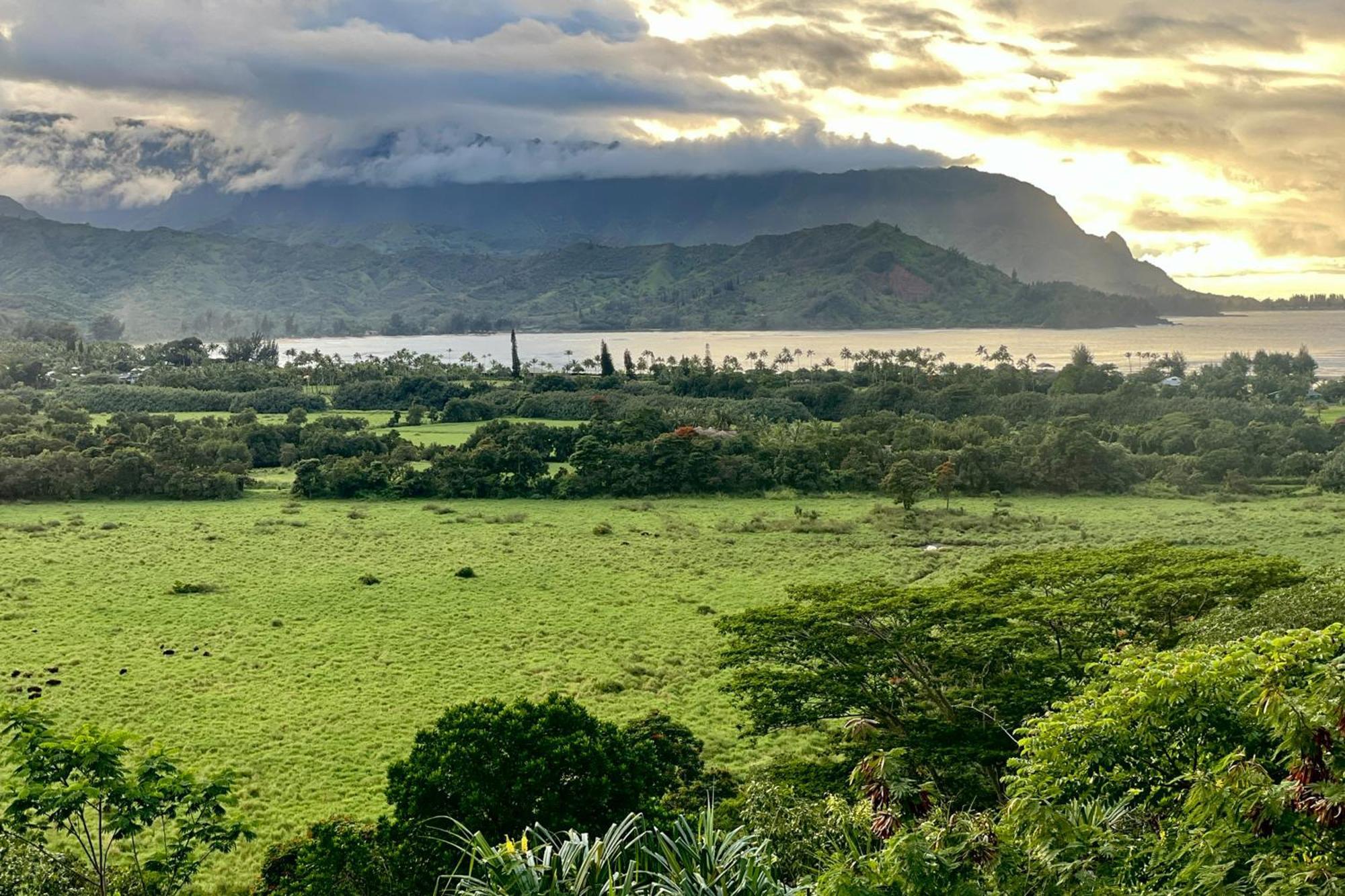 Villa View House Tower! à Princeville Extérieur photo